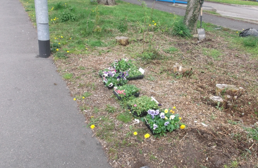 Plants kindly donated by Tesco's in Burscough. 